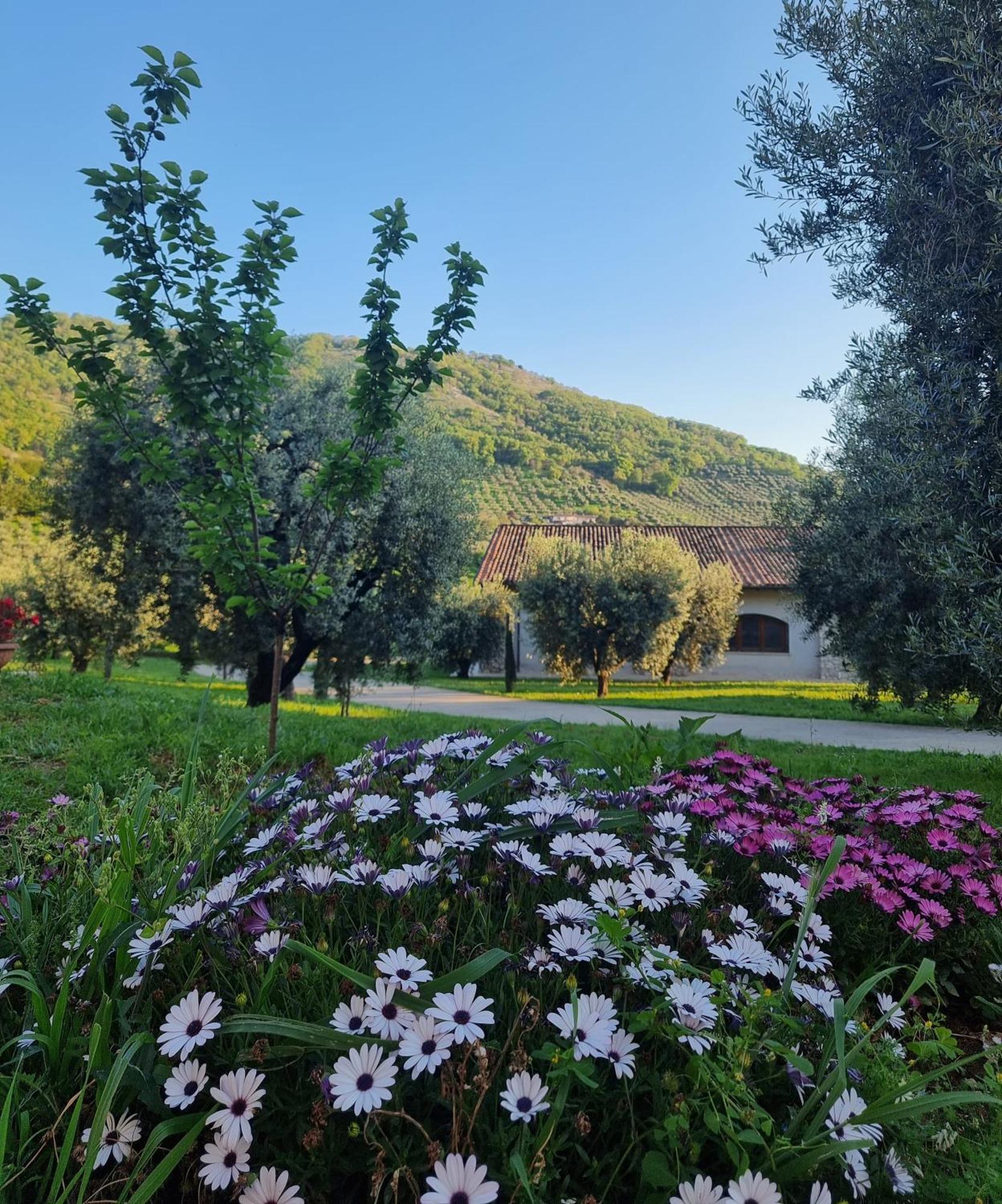 Bed and Breakfast Casale Dei Priori Rocca Massima Zewnętrze zdjęcie